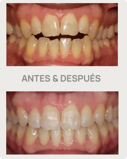 armonia 1208 i3